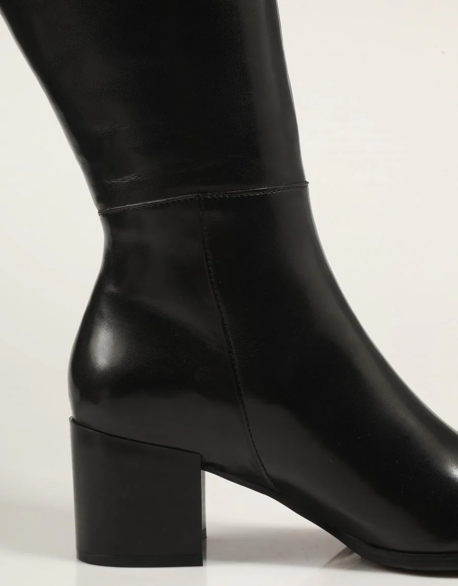 REGARDE LE CIEL TAYLOR F25 16 89446 - Image 4