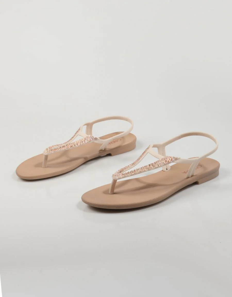GRENDHA 18376 - CACAU ELEGANTE S 79464 - Image 2