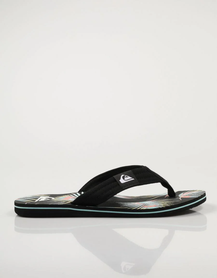 QUICKSILVER MOLOKAI LAYBACK AQYL101241 78810