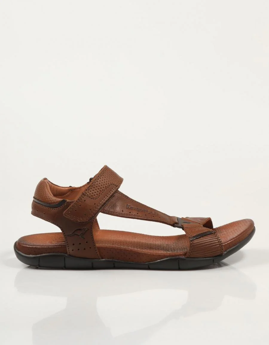 KANGAROOS 522 85043