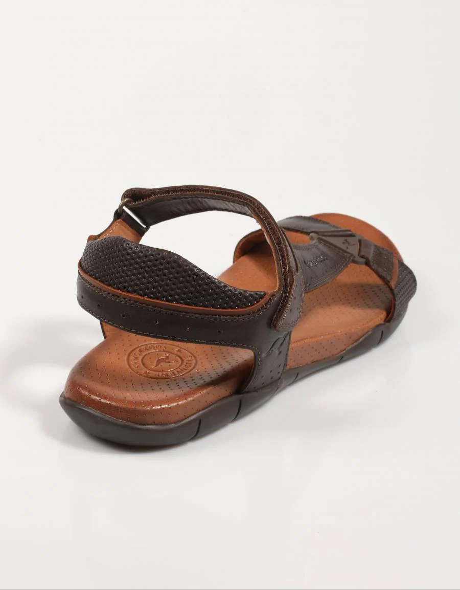 KANGAROOS 856 87769 - Image 3