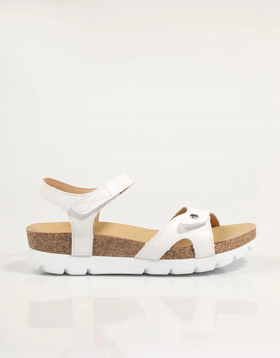 PANAMA JACK SULIA 87972