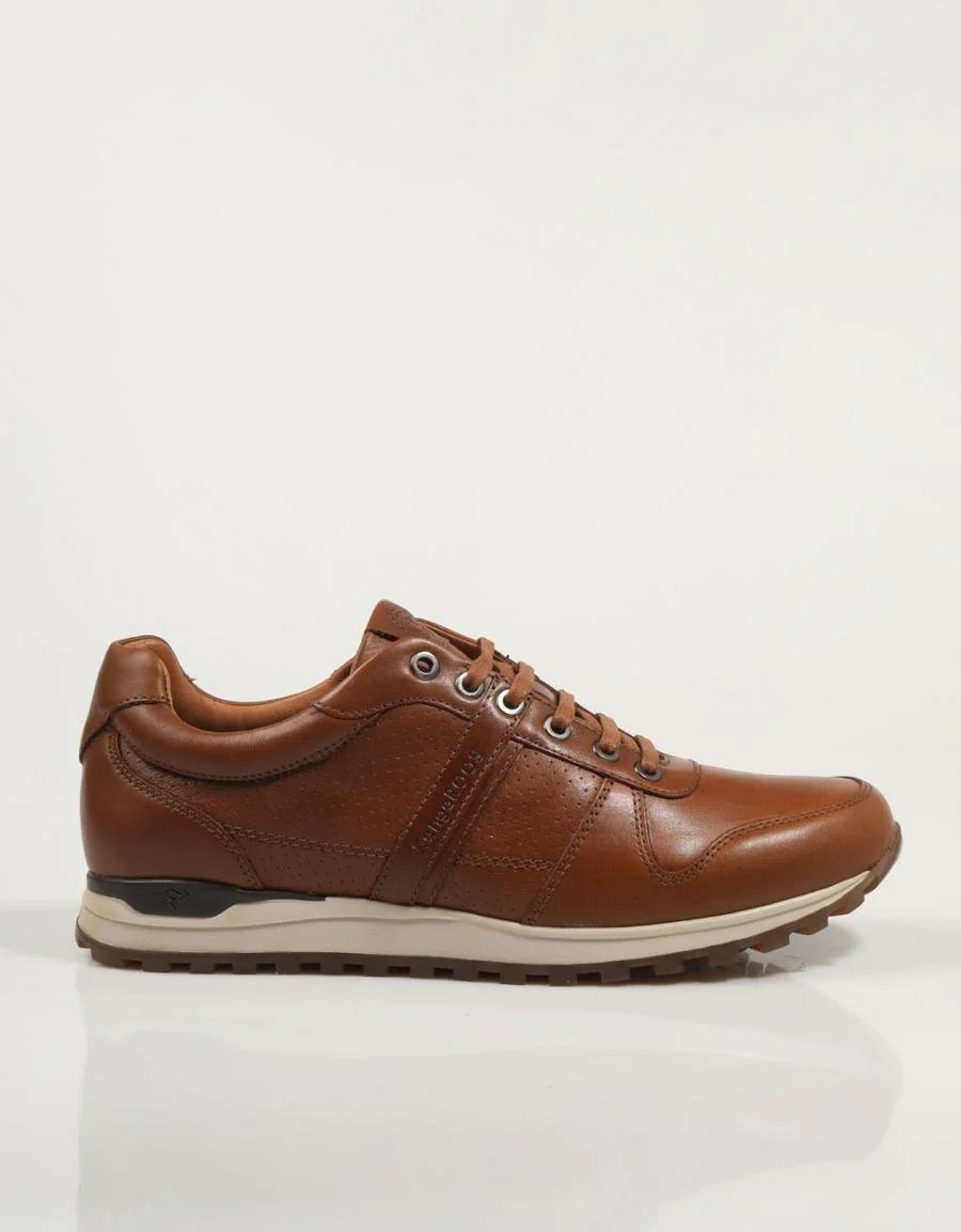 KANGAROOS 641 86264